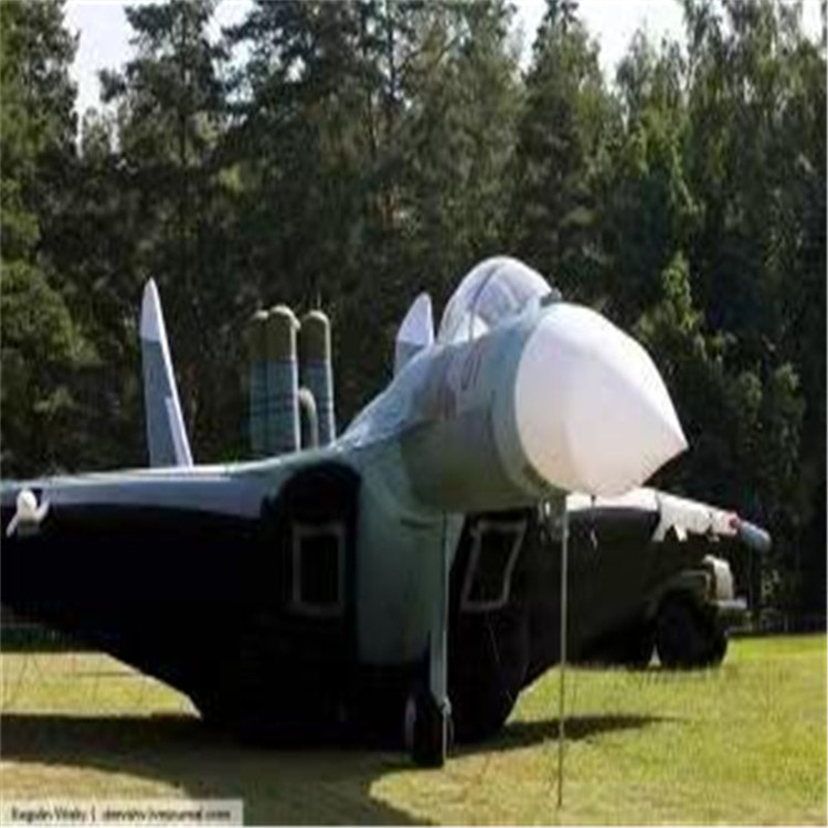 武隆充气模型飞机制造商家